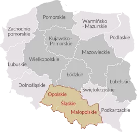 przedłużanie włosów z dojazdem